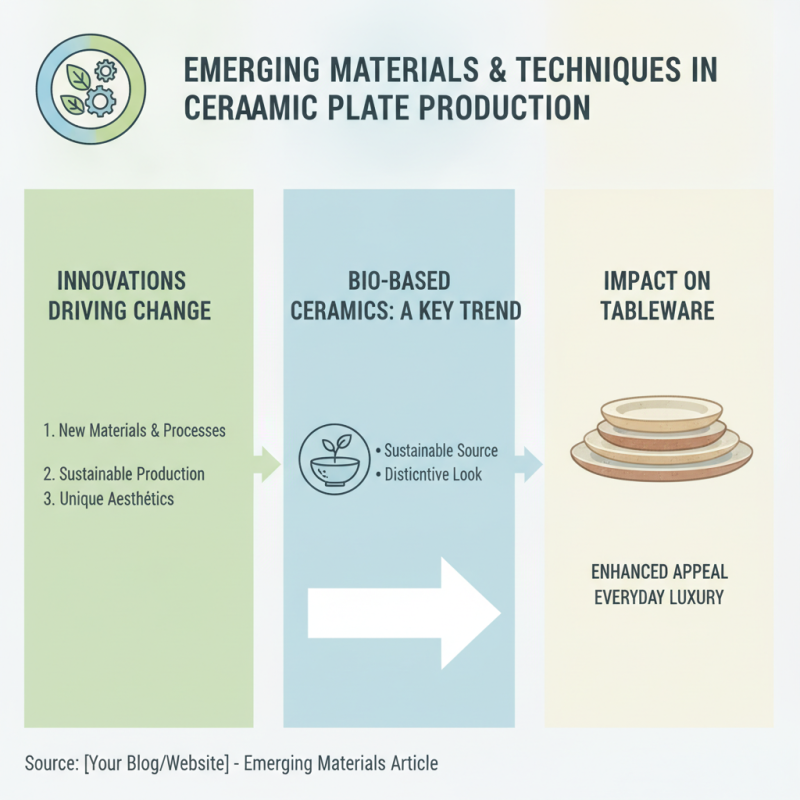 Top Ceramic Plates Trends for 2026 What Should Buyers Know?