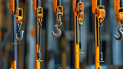 How to Choose the Right Micro Electric Hoist for Your Needs?