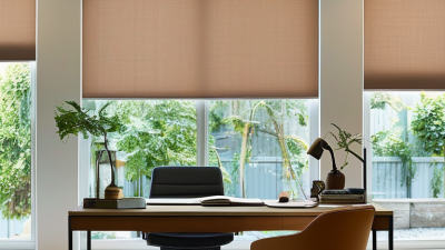 Best Roller Shades Options for Modern Homes and Offices?