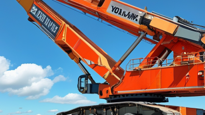 How to Choose the Best Large Hydraulic Crane for Your Needs?