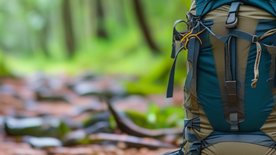 How to Choose the Perfect Hiking Day Pack for Your Adventures?