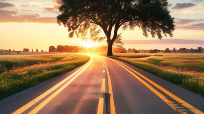 Why is Road Safety Important for Everyone?