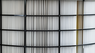 How to Choose Custom Polyester Fabric Air Filter for Your Needs?