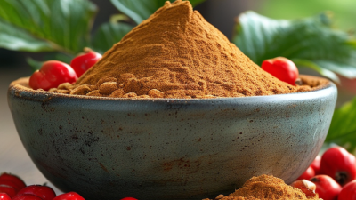 How to Choose the Best Hawthorn Fruit Powder for Your Needs?