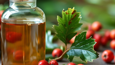 Discover the Benefits of Hawthorn Fruit Powder for Global Buyers?