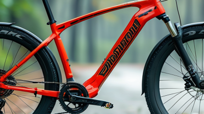 Why Choose Dragon Bike China for Your Next Purchase?