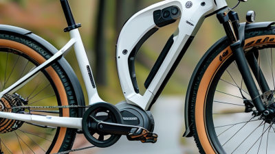How to Choose the Best Eco Bike Electric Bike for You?