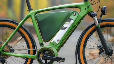 Top 10 Eco Friendly Bicycles for Global Buyers Today?