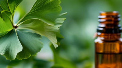How to Source Ginkgo Biloba Extract for Global Buyers?