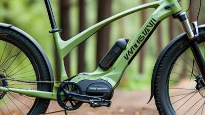 How to Choose the Best Eco-Bike for Your Needs?