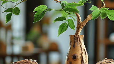 The Best Rattan Reed Sticks in China for Your Crafts and Projects?