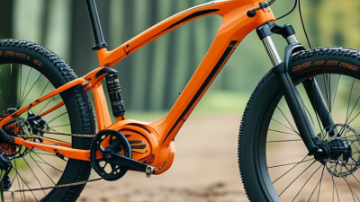 How to Choose the Best Eco Bicycle for Sustainable Travel?