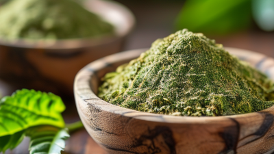 2026 How to Buy Senna Leaf Extract for Your Business?