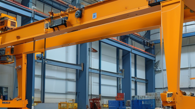 Best Portable Gantry Crane Options for Global Buyers?