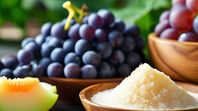 Top 5 Natural Sources of Erythritol for Global Buyers?