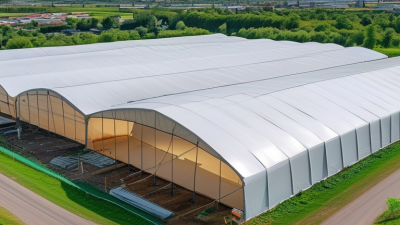 2026 Top PE Tarpaulin Sheet Buying Guide for Global Buyers?