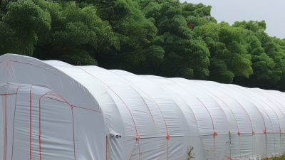 Best PP Tarpaulin Sheet for Global Buyers in 2026?