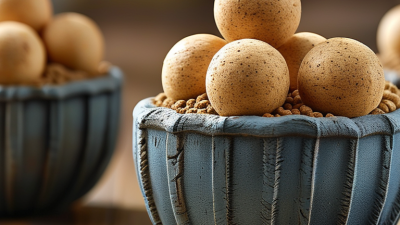 How to Choose the Best Spherical Bentonite Cat Litter?