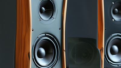 Top 10 Car Speakers You Need to Know About in China?