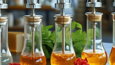 Discover the Best Food Pumps in China for Global Buyers?