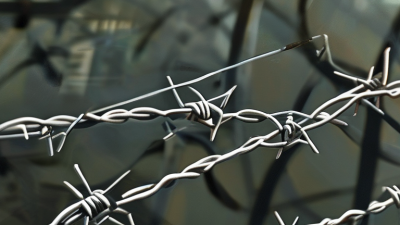 China Top Security Barbed Wire Suppliers for Global Buyers?