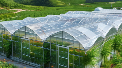 Top 10 Commercial Greenhouses in China for Global Buyers?
