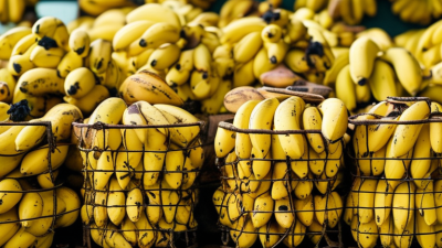 Top 10 Banana Screen Options for Global Buyers Today?