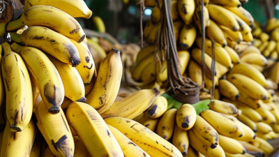 Best Banana Screen Options for Global Buyers in 2026?