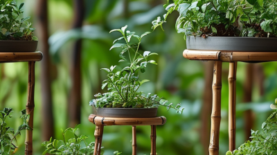 Best Plant Stakes for Your Garden Needs 2026?