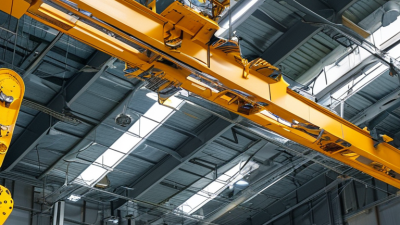 What is a Ceiling Crane and How Can It Benefit Your Business?