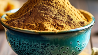 Top Benefits of Angelica Extract Powder You Need to Know?