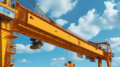 Top 10 Eot Crane Manufacturers You Must Know?