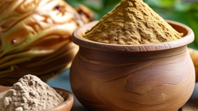 Top Benefits of Maca Root Powder for Your Health?