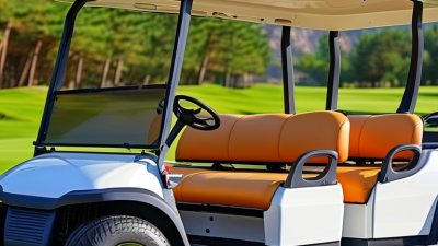 Top China Customized 8 Seater Gas Golf Cart for Sale?