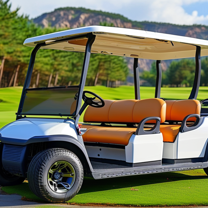 Top China Customized 8 Seater Gas Golf Cart for Sale?
