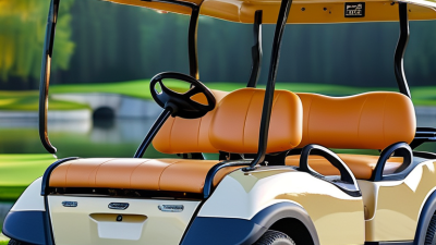 Why Choose China Customized 8 Seater Gas Golf Cart for Your Needs?