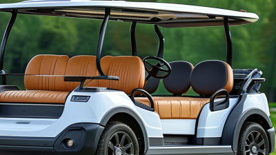 What is a High Performance Electric Golf Sightseeing Car?
