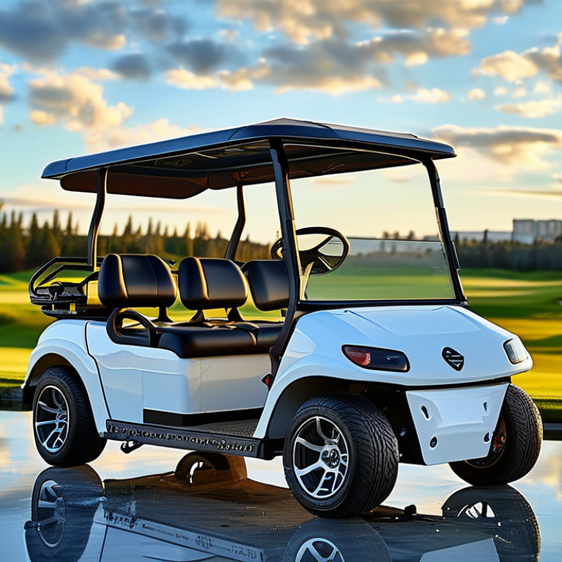 China Customized Electric Golf Trolley in High Demand Globally?