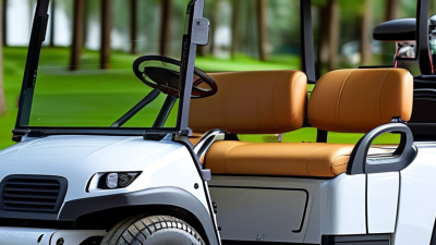 What is a China Customized 8 Seater Gas Golf Cart?