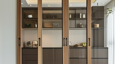 How to Choose the Best Pocket Door for Your Home?