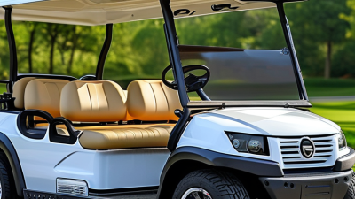 Top China Customized 8 Seater Gas Golf Cart for Sale?