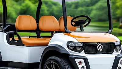 Top China Customized 8 Seater Electric Golf Cart for Sale?