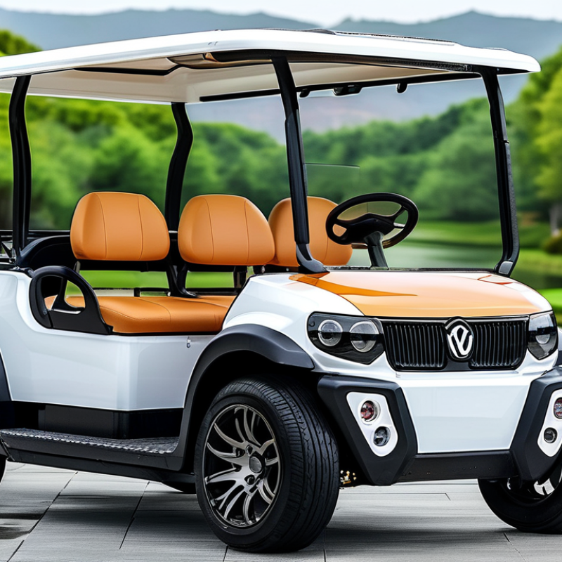 Top China Customized 8 Seater Electric Golf Cart for Sale?