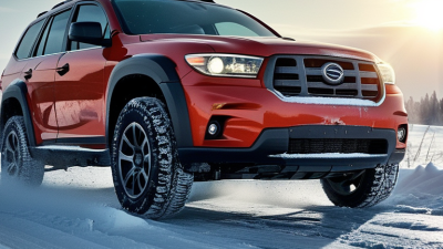 How to Choose the Best Ice Tires for Winter Driving?