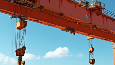 How to Choose the Right Eot Crane for Your Business Needs?