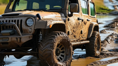How to Choose the Best Mud Wheel for Your Needs?