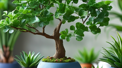 What is Artificial Plant Bonsai Benefits and Uses for Buyers?