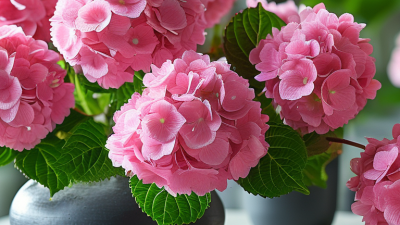 2026 Best Fake Hydrangeas for Global Buyers to Consider?