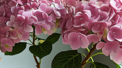 Are Fake Hydrangeas Worth Buying for Your Home Decor?