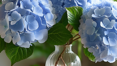 Why Choose Fake Hydrangeas for Your Home Decor Needs?